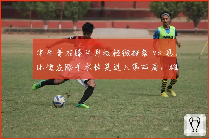 字母哥右膝半月板轻微撕裂 vs 恩比德左膝手术恢复进入第四周,雄鹿保守处理预计缺席20场领先76人谨慎态度